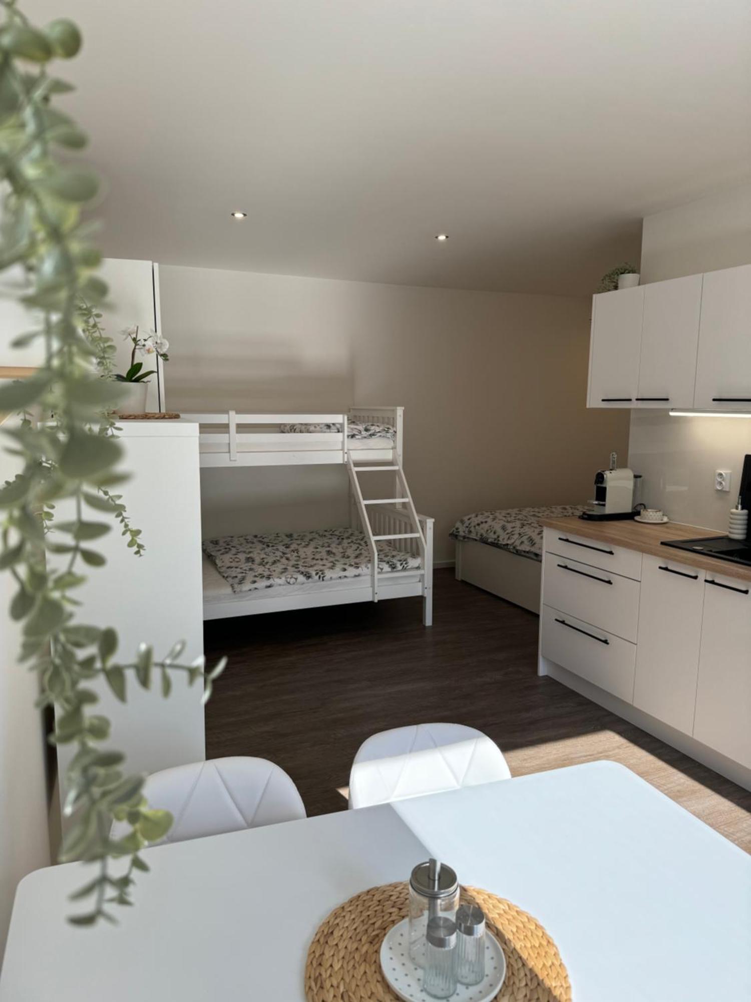 Rk Apartment #4 布尔诺 外观 照片