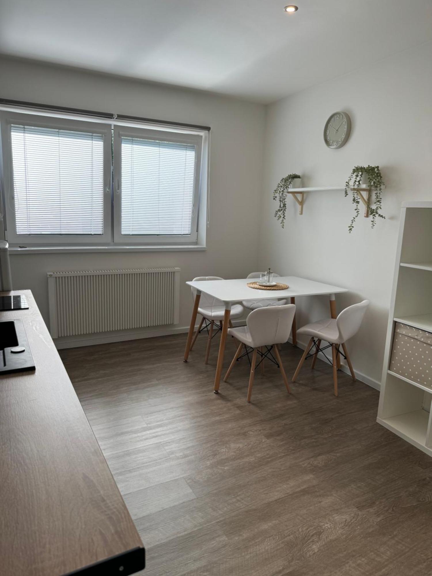 Rk Apartment #4 布尔诺 外观 照片