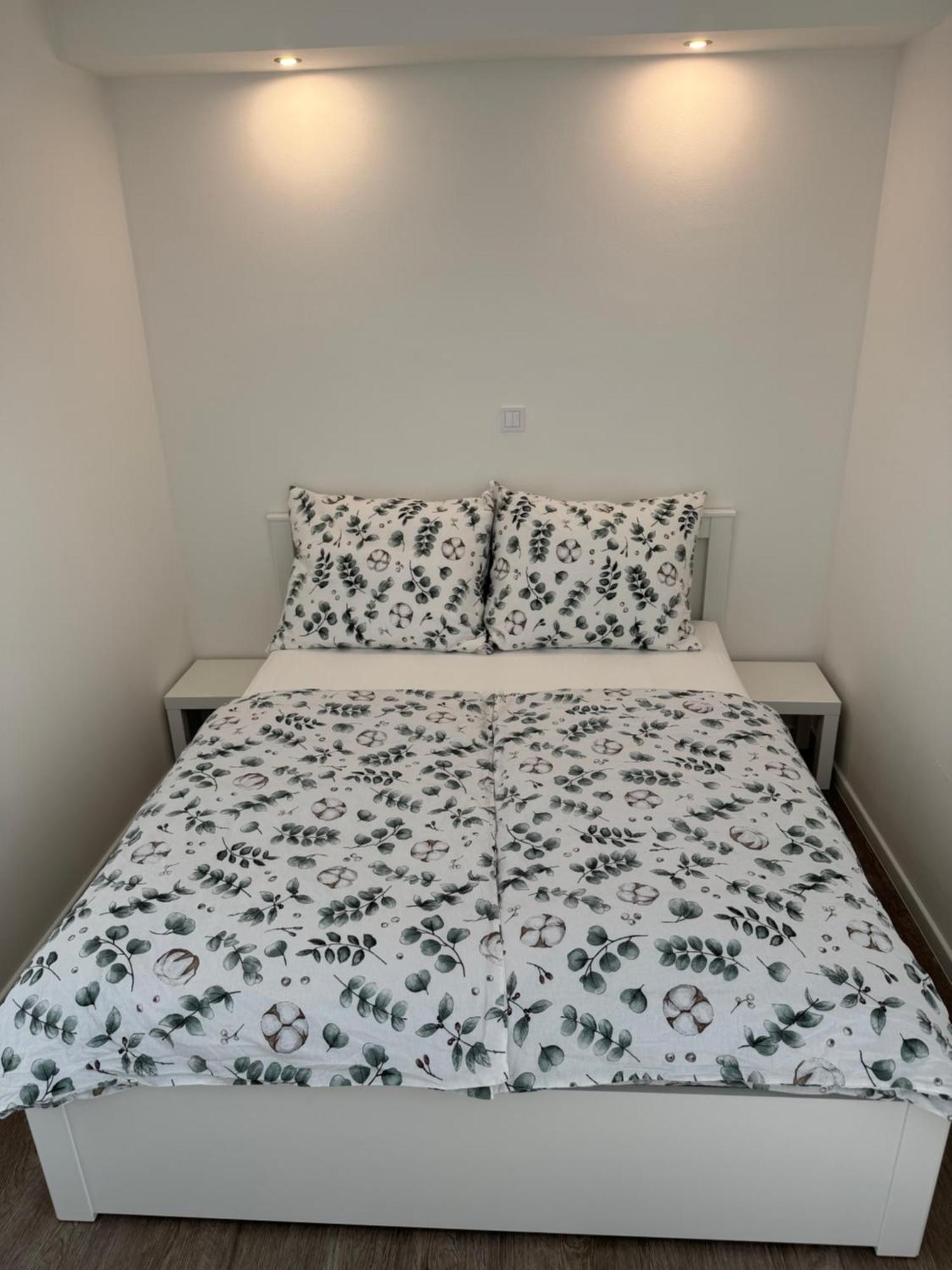 Rk Apartment #4 布尔诺 外观 照片