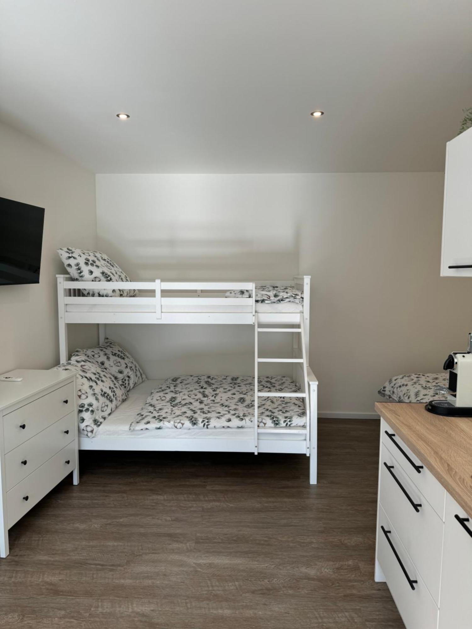 Rk Apartment #4 布尔诺 外观 照片